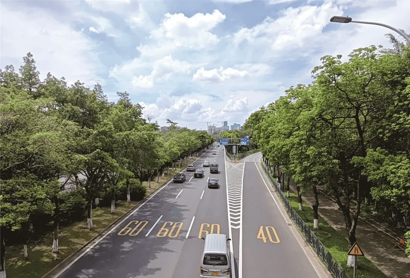 落地番禺房车旅行仪式感拉满pg电子中国综艺同款生活(图6)